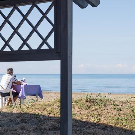Villa Emilia Marina di Castagneto Carducci Dış mekan fotoğraf