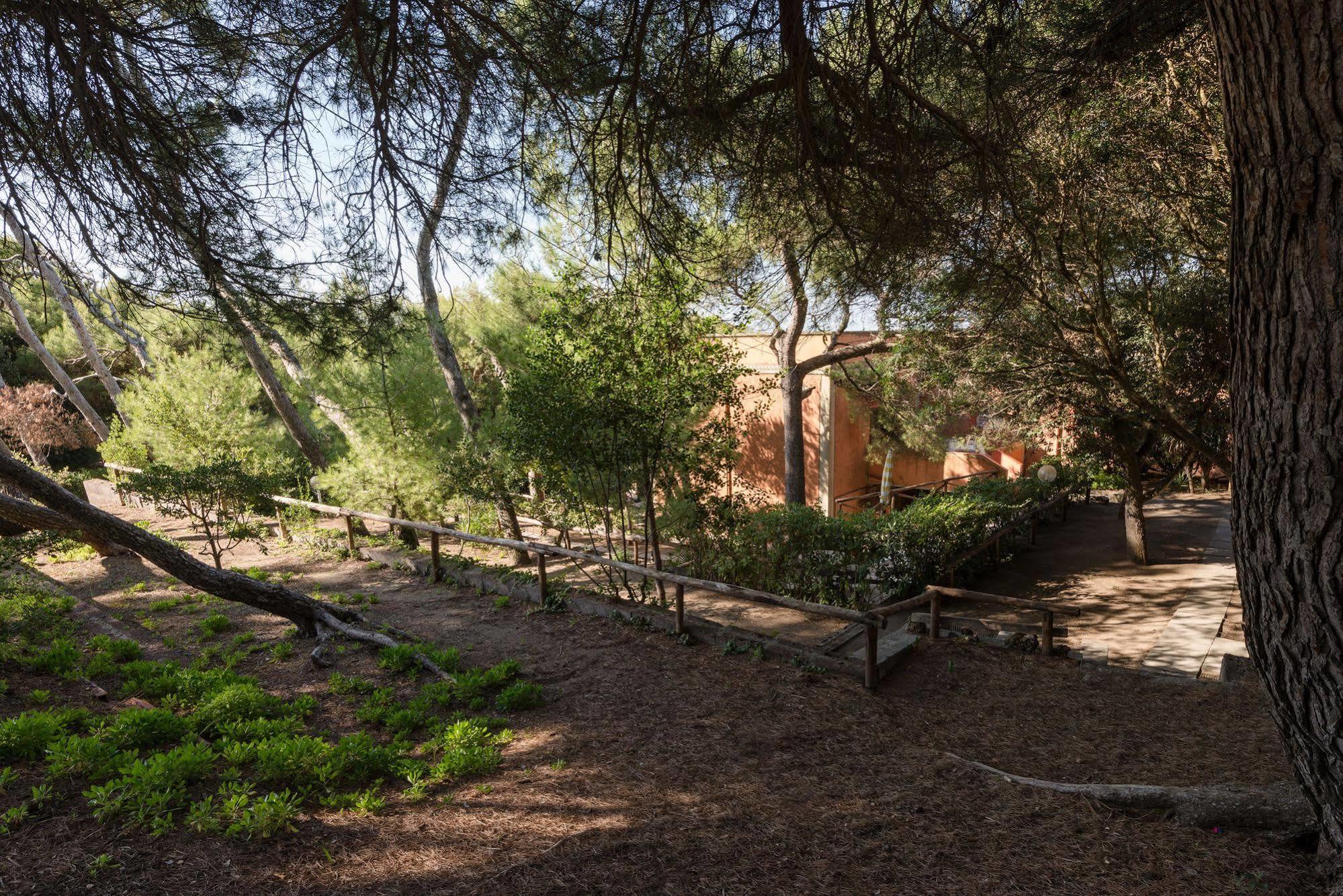 Villa Emilia Marina di Castagneto Carducci Dış mekan fotoğraf